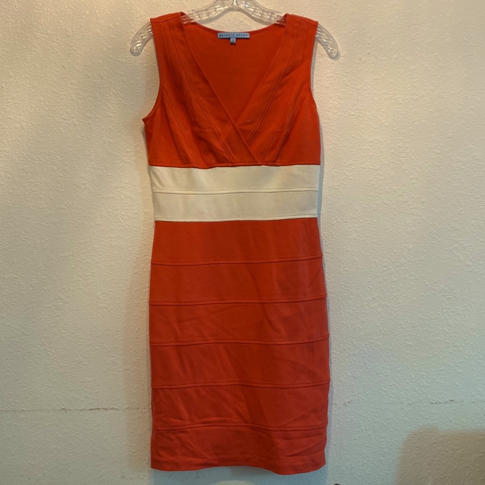 ANTONIO MELANI Dress